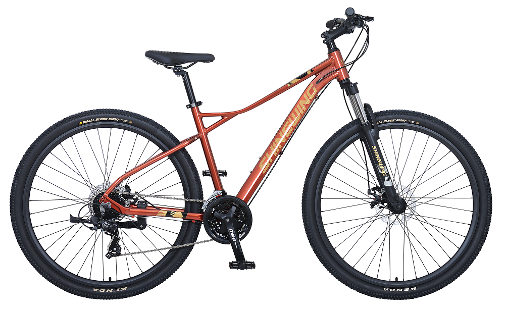 SWB406A MTB BIKE